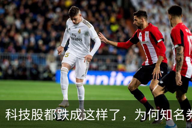 科技股都跌成这样了，为何知名券商首席却说科技行情还远未结束？